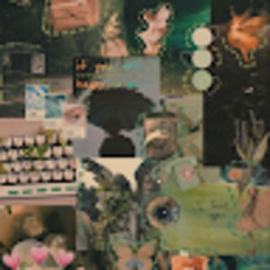 Meet your Posher, Leslie